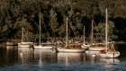 USA, Massachusetts, Cape Cod, Falmouth. Vintage sailboats moored in Quissett Harbor Art Print